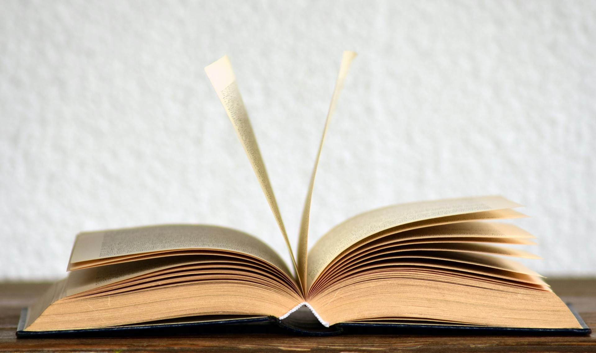 Fiction vs Nonfiction Examples: A Complete Literary Guide